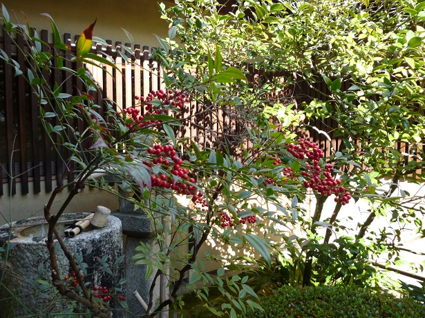 f0181251_16161171.jpg