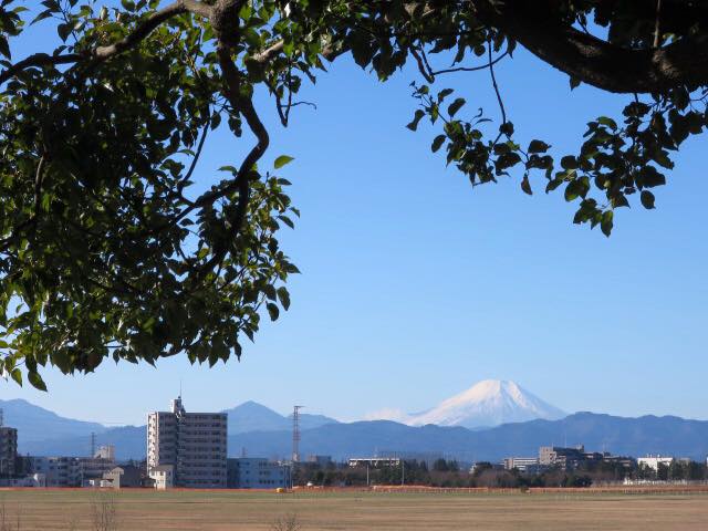 d0129962_22251131.jpg