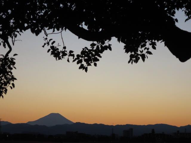 d0129962_2225166.jpg