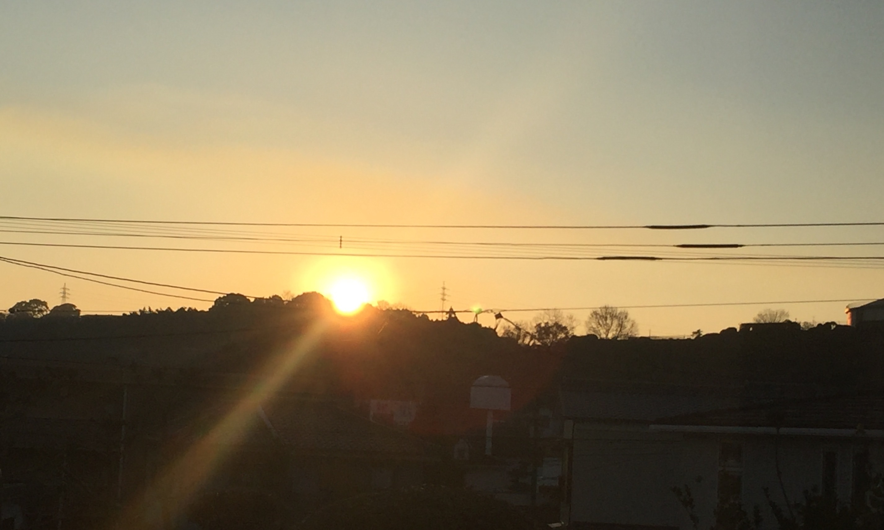 f0093563_07533690.jpeg