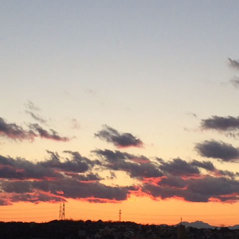 c0102268_20551531.jpg