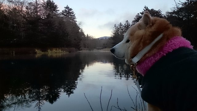 b0274270_12231972.jpg