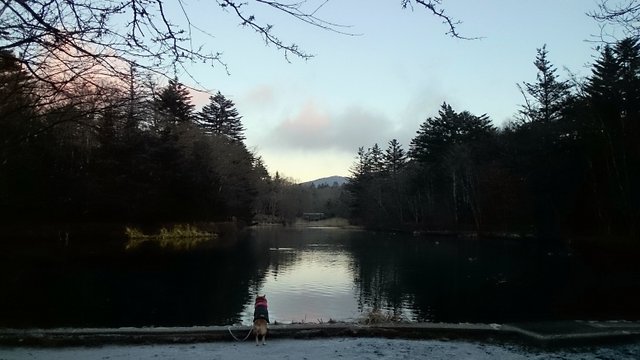 b0274270_1223288.jpg