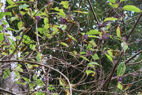 e0292172_2022354.jpg
