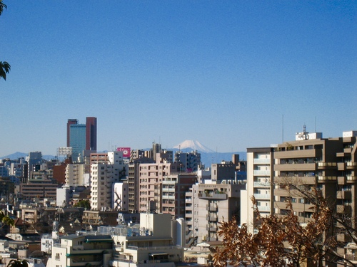 e0275478_1338056.jpg