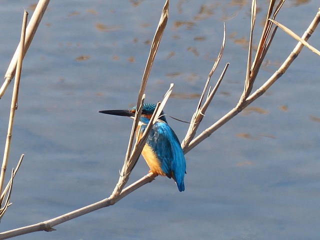 f0357487_2241042.jpg