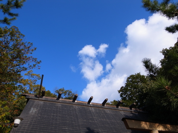 e0246788_14354178.jpg