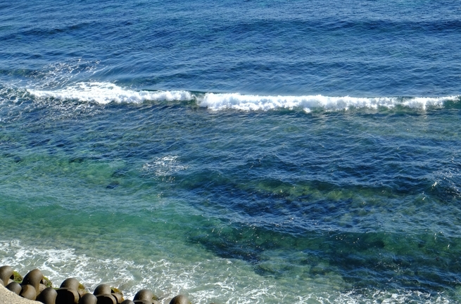 e0000910_1022554.jpg