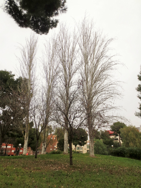 b0064411_06531410.jpg
