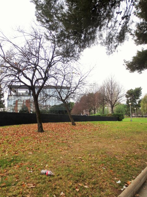 b0064411_06531540.jpg