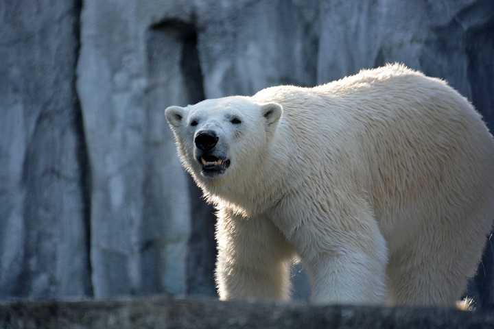 a0151913_1341455.jpg