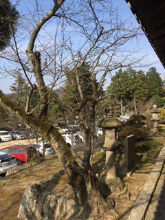 b0197418_16565410.png