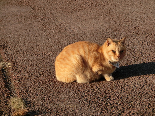 d0221319_126439.jpg