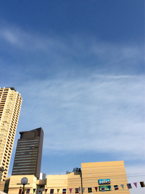 c0103830_19314335.jpg