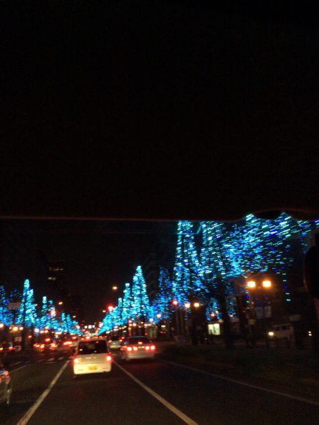 c0103830_19314861.jpg