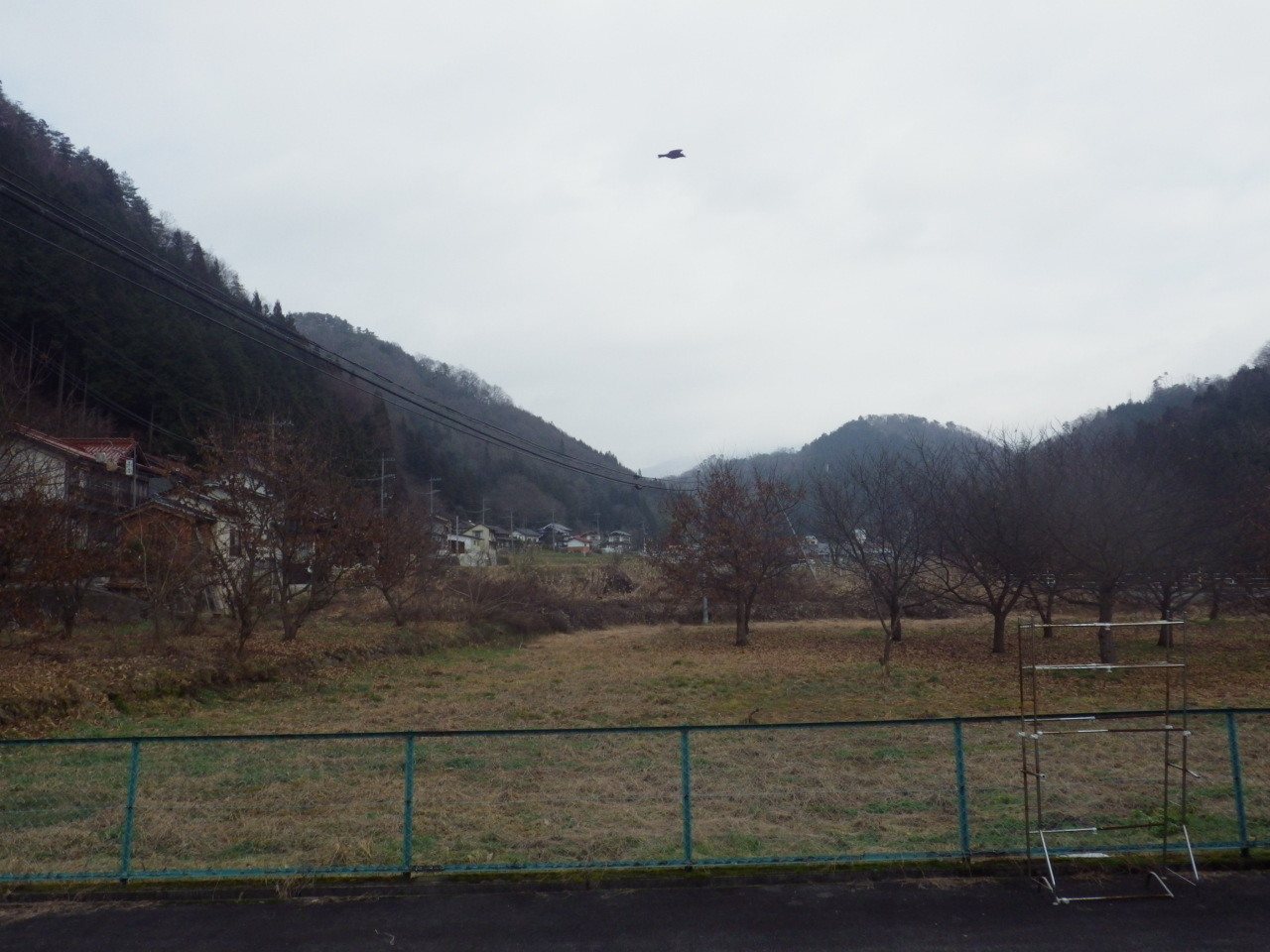 c0300035_1216227.jpg