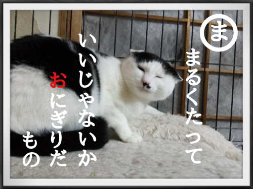 c0342535_20341324.png