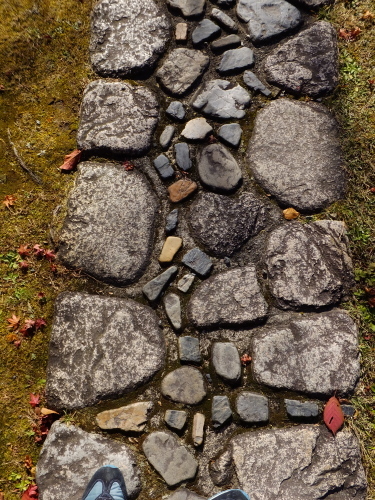 f0156448_18000256.jpg
