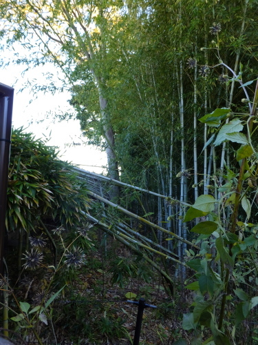 f0156448_18044316.jpg