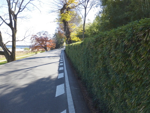 f0156448_18044589.jpg
