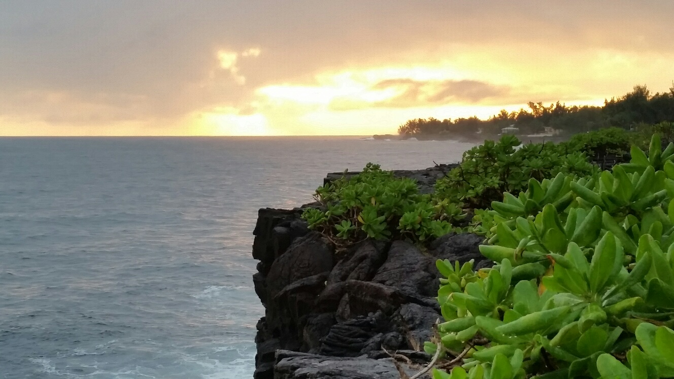 b0126453_2563727.jpg