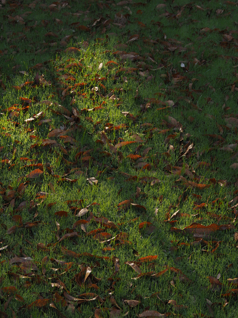 e0346064_18554452.gif