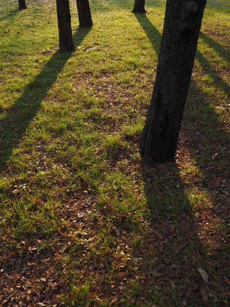 e0346064_18555430.gif