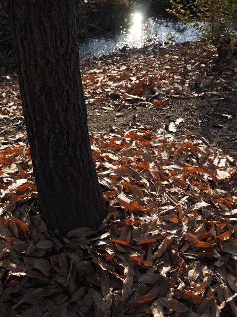 e0346064_1856133.gif