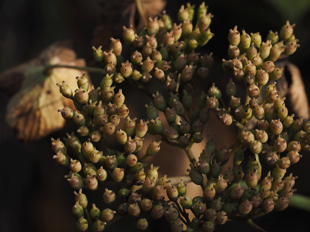 e0346064_18564176.gif