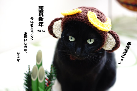 黒猫「サスケ」は猿のかぶり物で新年のごあいさつ