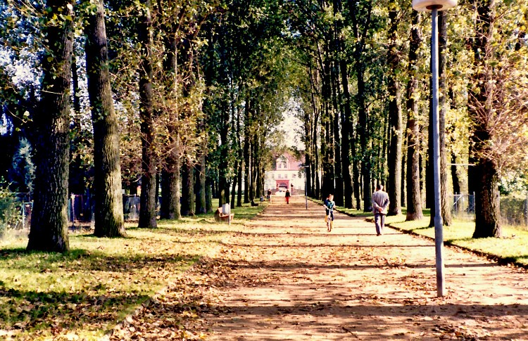 d0341880_23234421.jpg
