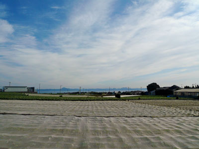 e0110281_20144725.jpg