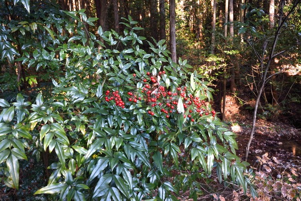 b0217090_5321228.jpg
