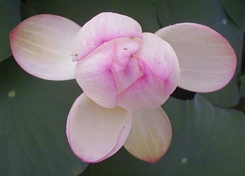 d0053294_0214089.jpg