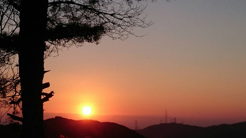 b0039898_13523390.jpg