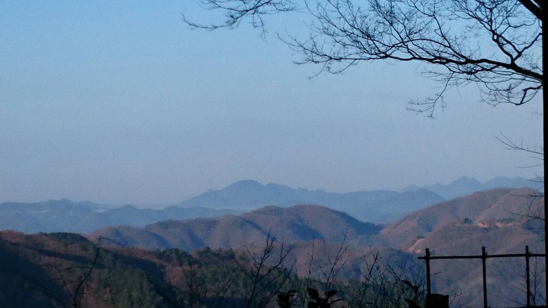b0039898_1353674.jpg