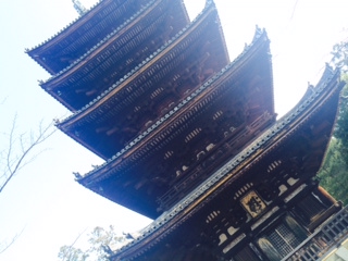 a0050302_30255.jpg