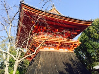 a0050302_31172.jpg