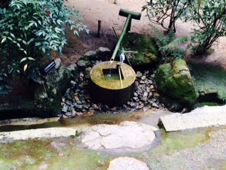 a0050302_3552436.jpg
