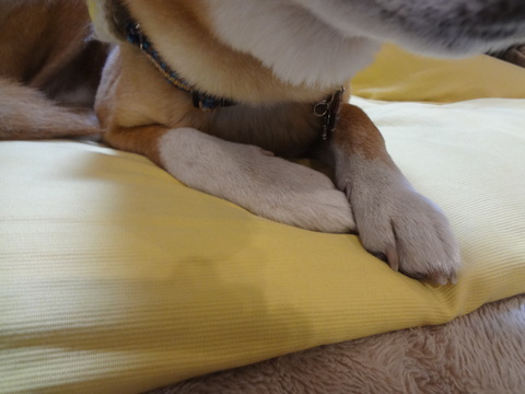 e0292102_15492073.jpg