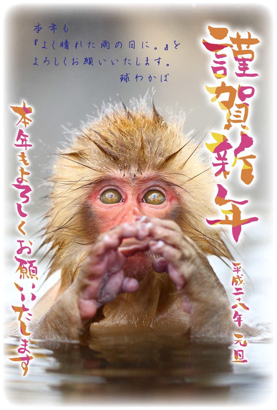 年賀状2016