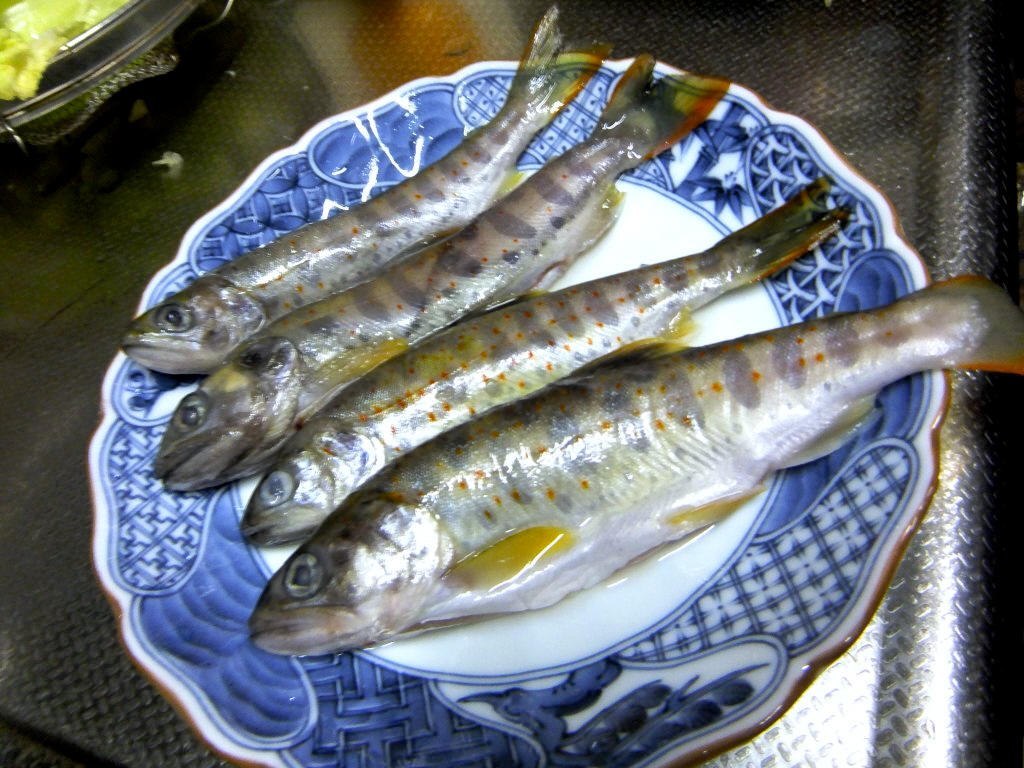 a0188405_08235385.jpg