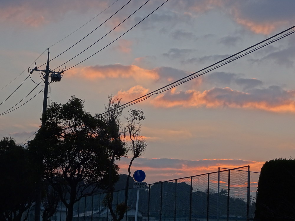 b0052108_115976.jpg