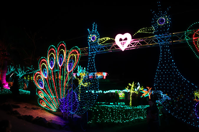 a0263109_2011589.jpg