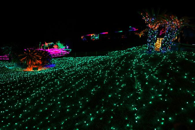 a0263109_2012099.jpg