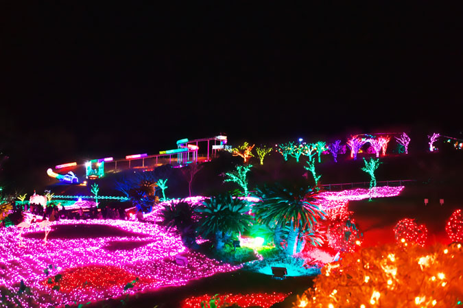 a0263109_20121011.jpg