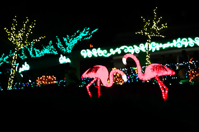 a0263109_20121733.jpg