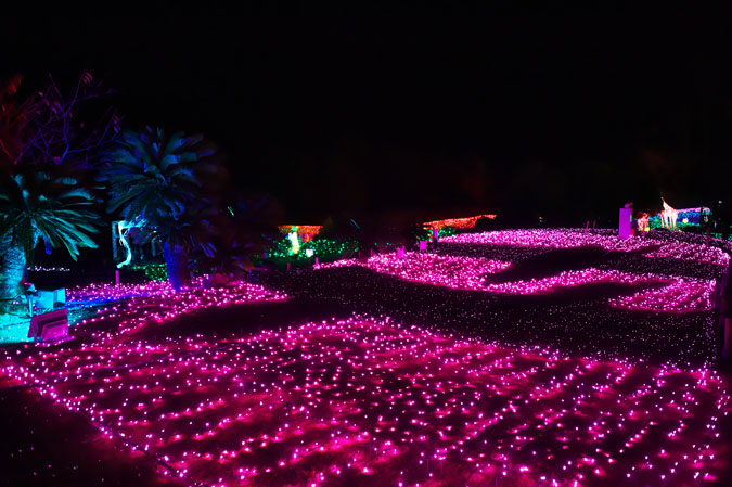 a0263109_20121970.jpg