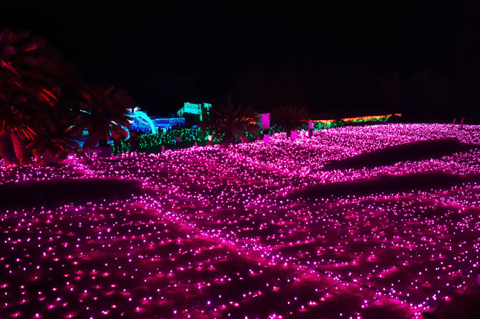 a0263109_20122196.jpg