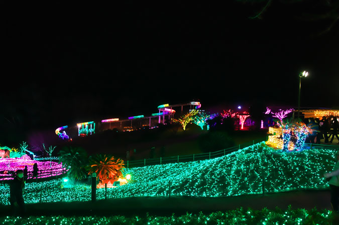 a0263109_2012434.jpg